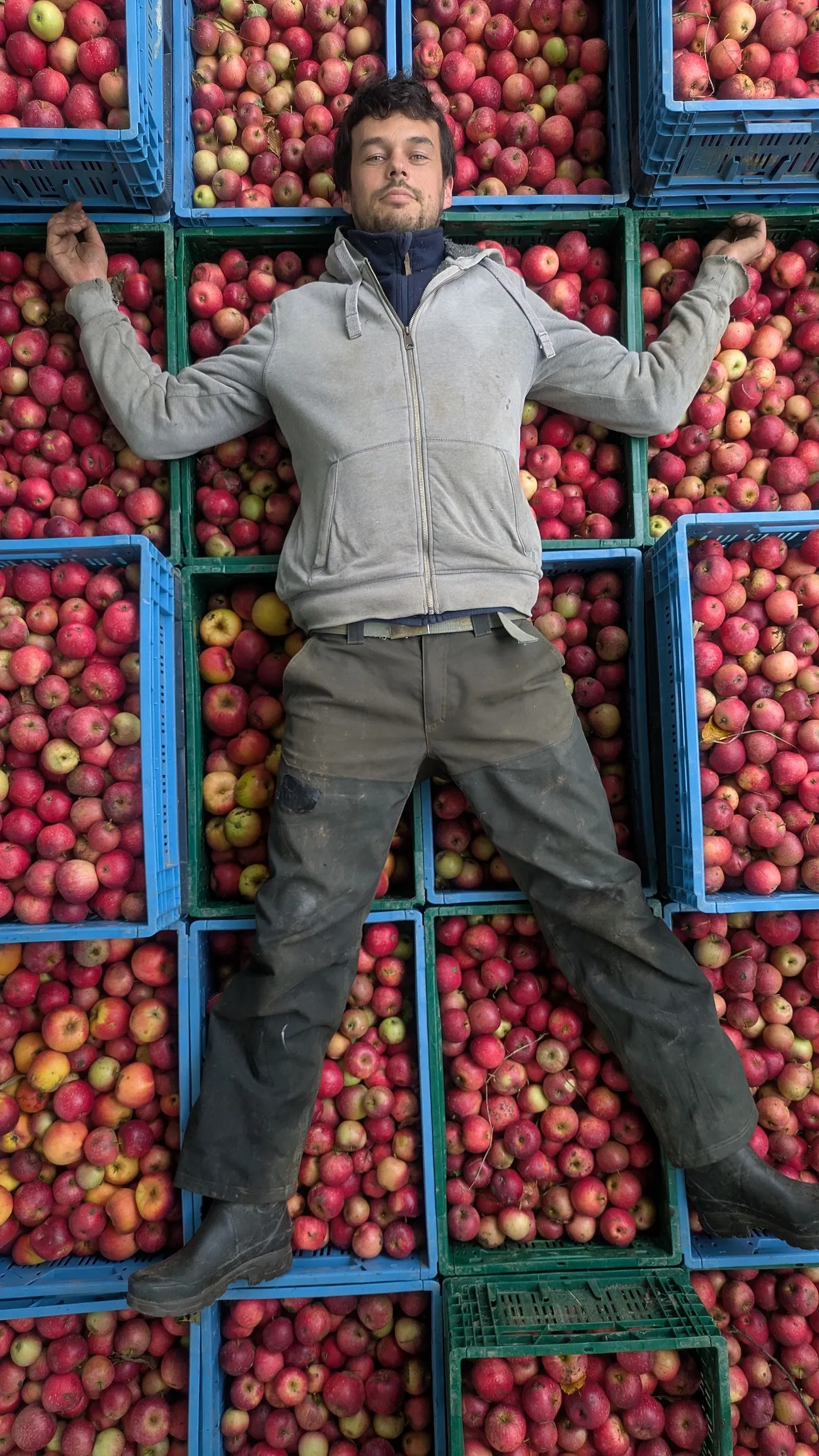 Le cidre sort de l’ombre : comment la boisson à la pomme se fait une place en Belgique - Cidre du Tchapia - Audrey Morard
