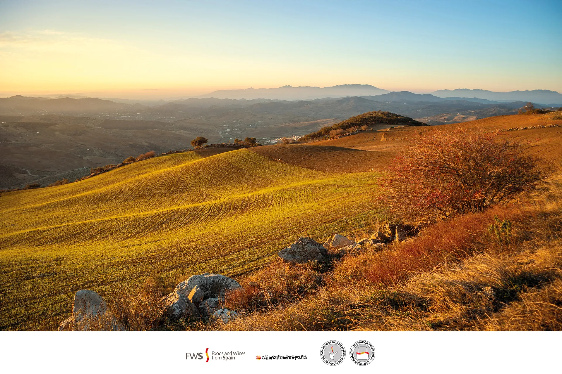 Un air d’Espagne souffle sur la Belgique - Foods and Wines from Spain