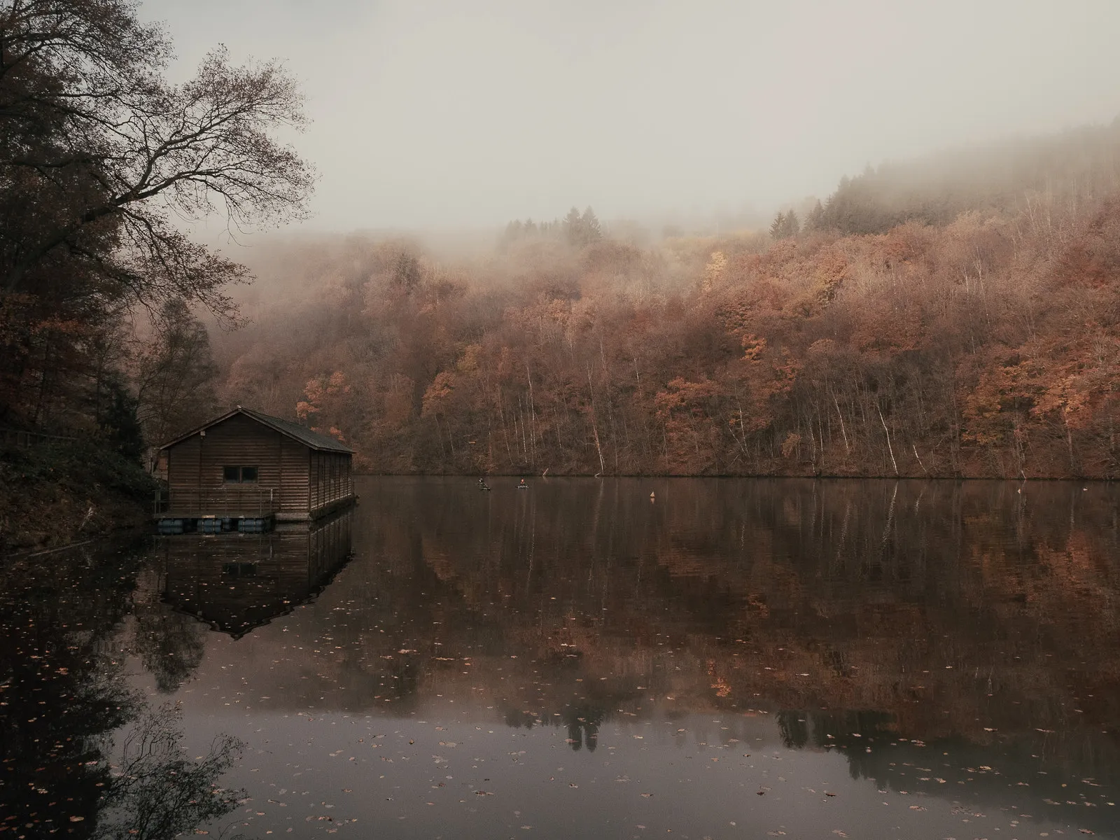Ce paisible lac belge ressemble au Canada en automne - WBT – Ju Focus - Audrey Morard