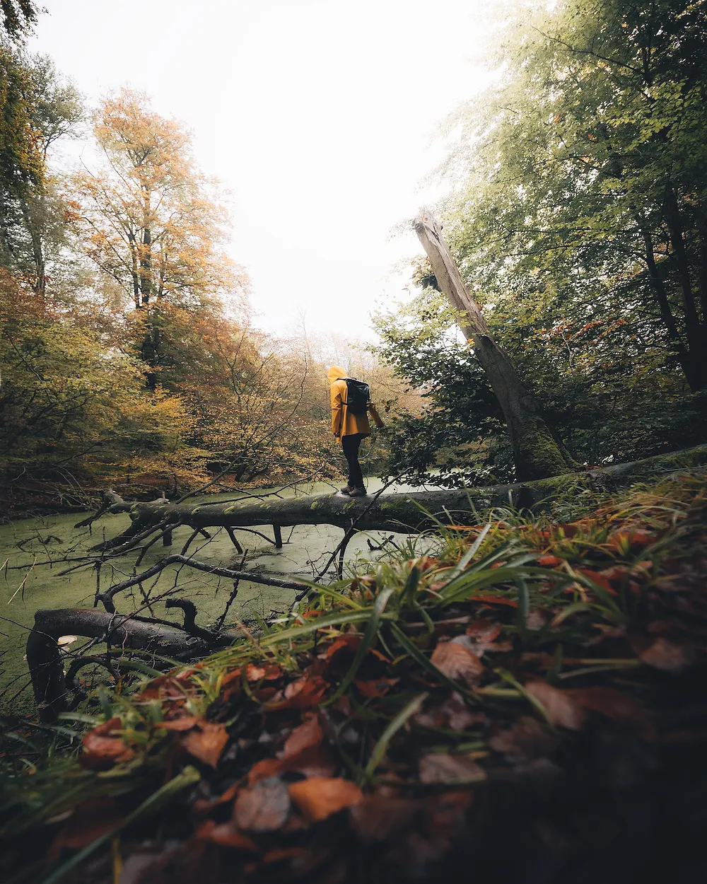 Six lieux magiques où admirer les couleurs de l’automne en Belgique - visit.brussels - Micael Veras dos Santos - Audrey Morard