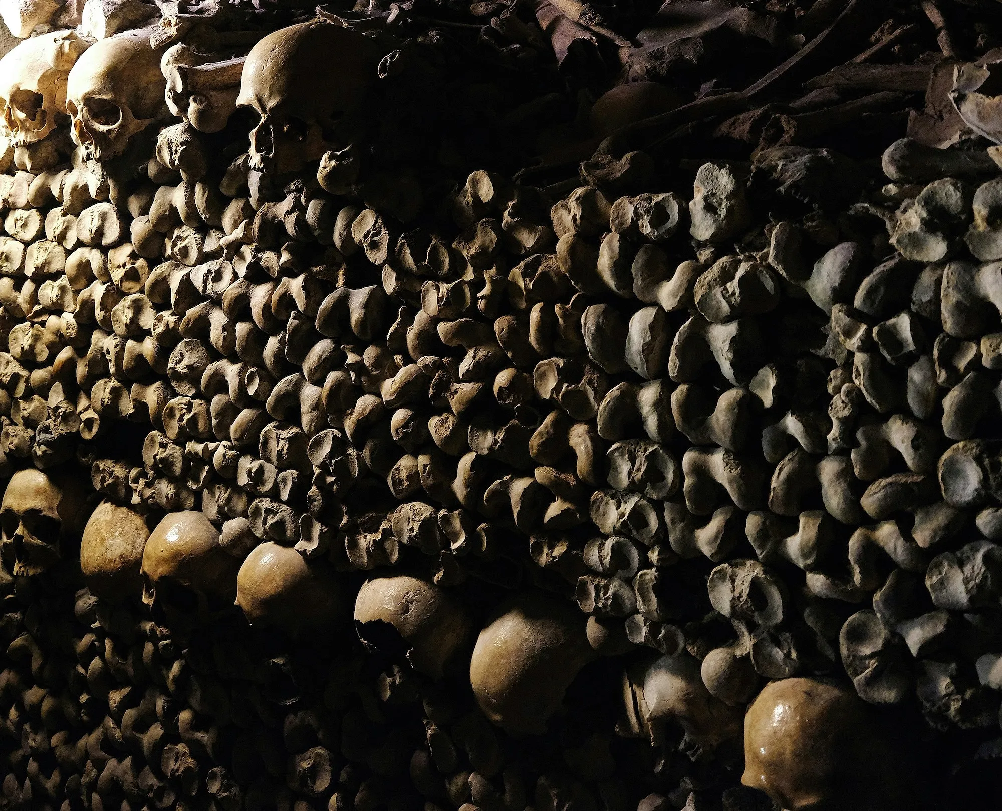 Une ville belge citée parmi les meilleures destinations pour fêter Halloween en Europe - Unsplash - Audrey Morard