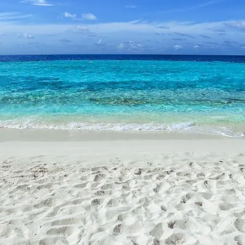 Cette plage proche de la Belgique nous donne l 