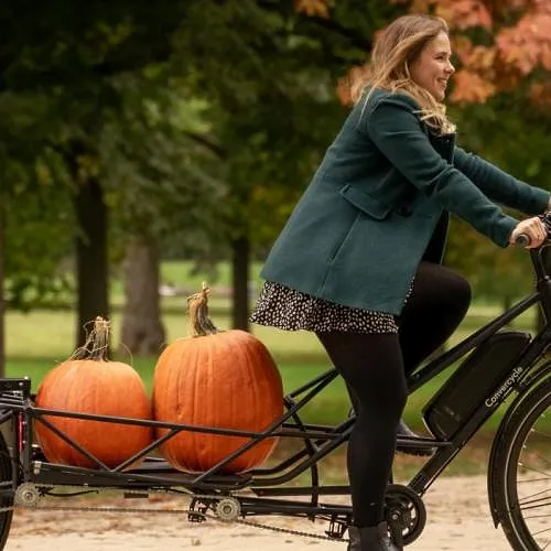 Velo cargo pliant online