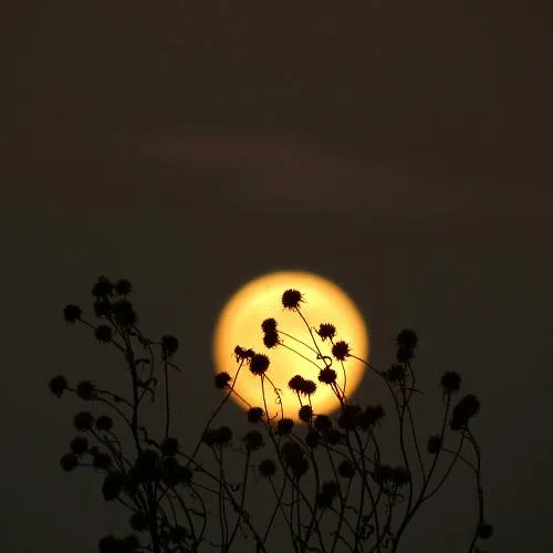 Pleine Lune Mai 2026 : ce qu'il faut savoir — image 4
