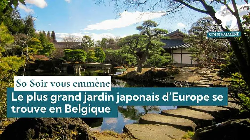 So Soir vous emmène : Le plus grand jardin japonais d’Europe se trouve en Belgique - So Soir vous emmène : Le plus grand jardin japonais d’Europe se trouve en Belgique