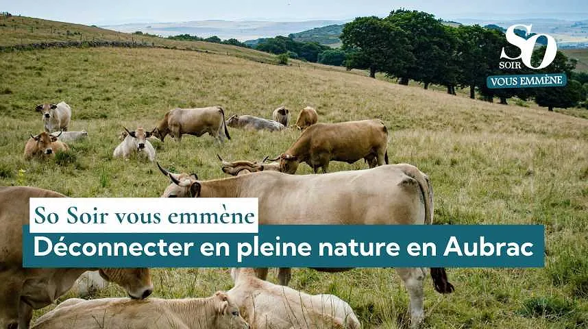 So Soir vous emmène : déconnecter en pleine nature en Aubrac - So Soir vous emmène : déconnecter en pleine nature en Aubrac