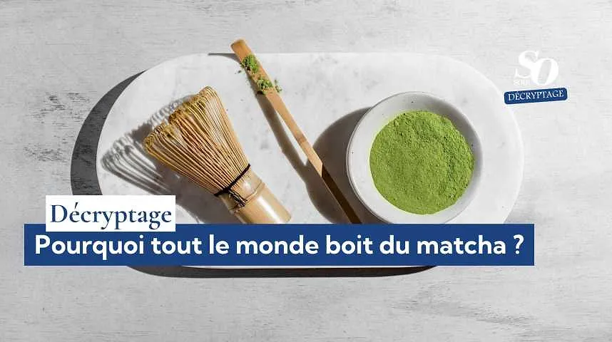 Décryptage : pourquoi tout le monde boit du matcha ? - Décryptage : pourquoi tout le monde boit du matcha ?