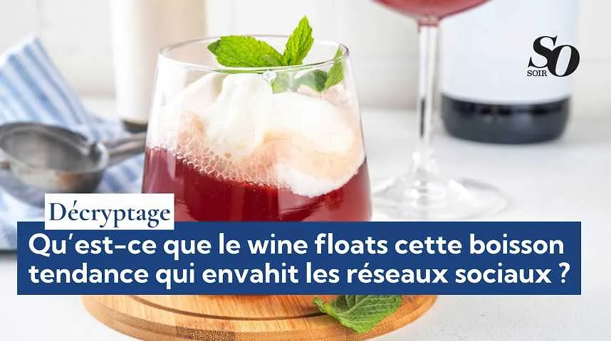 Décryptage : qu’est-ce que le wine floats cette boisson tendance qui envahit les réseaux sociaux ? - Décryptage : qu’est-ce que le wine floats cette boisson tendance qui envahit les réseaux sociaux ?