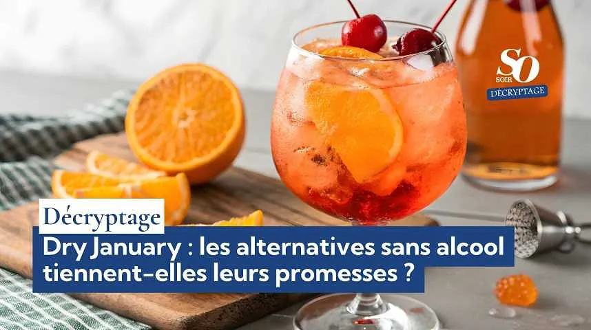 Décryptage : Dry January, les alternatives sans alcool tiennent-elles leurs promesses ? - Décryptage : Dry January, les alternatives sans alcool tiennent-elles leurs promesses ?