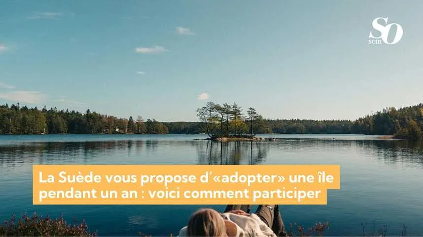 La Suède vous propose d’«adopter» une île pendant un an : voici comment participer - La Suède vous propose d’«adopter» une île pendant un an : voici comment participer