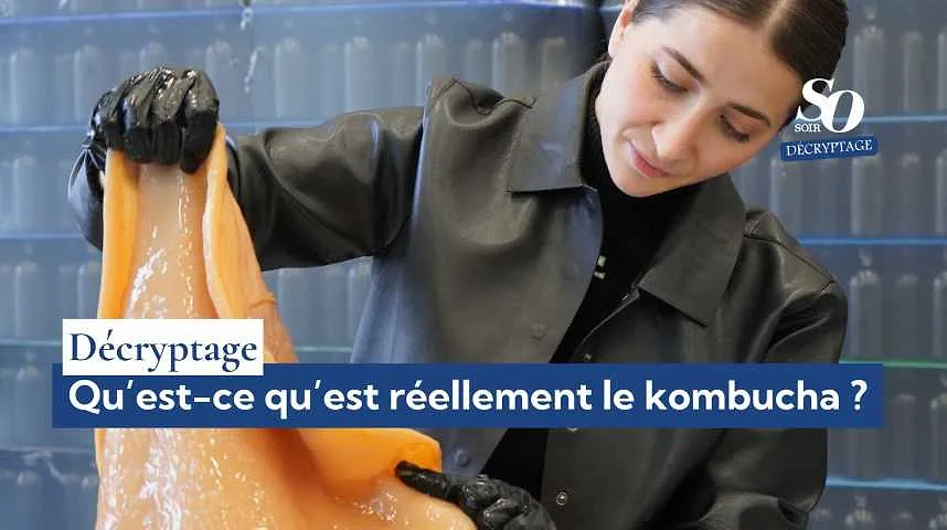 Décryptage : qu'est-ce qu'est réellement le kombucha ? - Décryptage : qu'est-ce qu'est réellement le kombucha ?