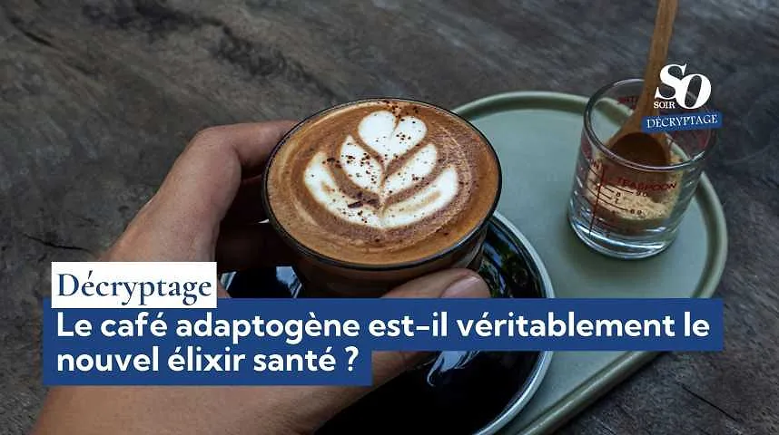 Décryptage : le café adaptogène est-il véritablement le nouvel élixir santé ? - Décryptage : le café adaptogène est-il véritablement le nouvel élixir santé ?