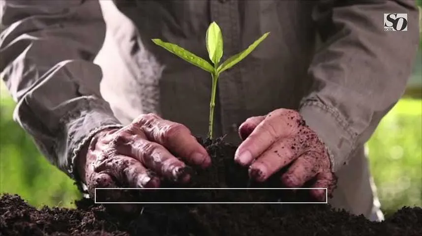 Journée de la Terre : comment aider la planète ?