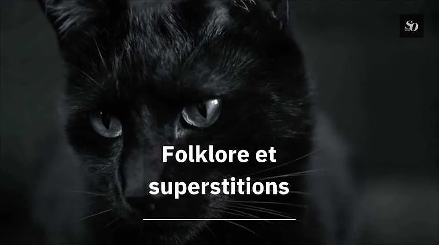 Folklore et superstitions du chat noir : explications