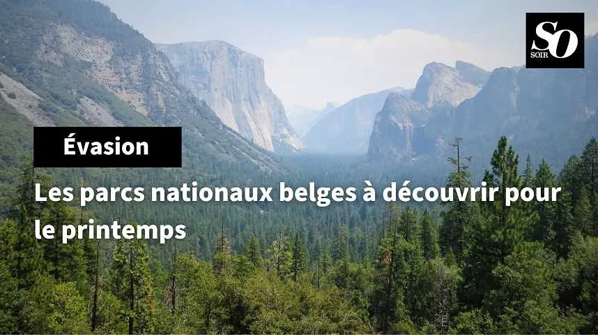 Les parcs nationaux belges à découvrir pour le printemps