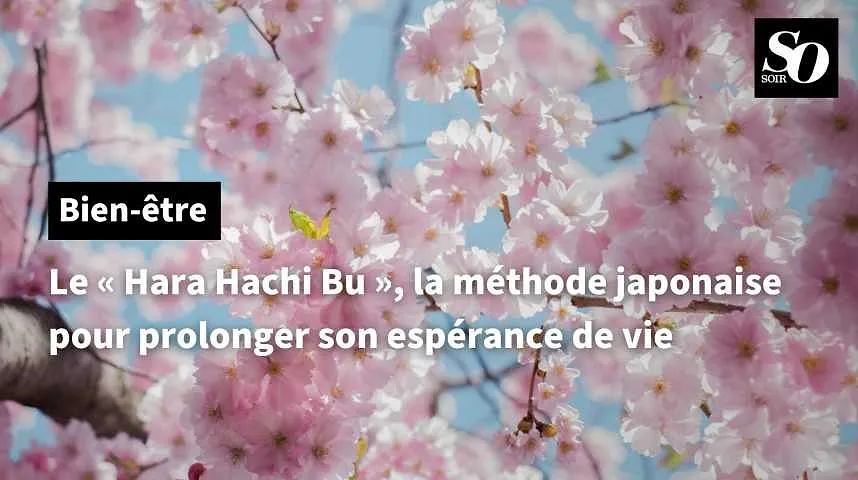 Le "Hara Hachi Bu", la méthode japonaise pour prolonger son espérance de vie