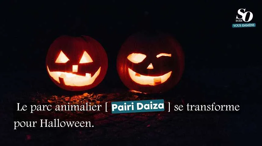 Le parc animalier Pairi Daiza fête Halloween - Le parc animalier Pairi Daiza fête Halloween