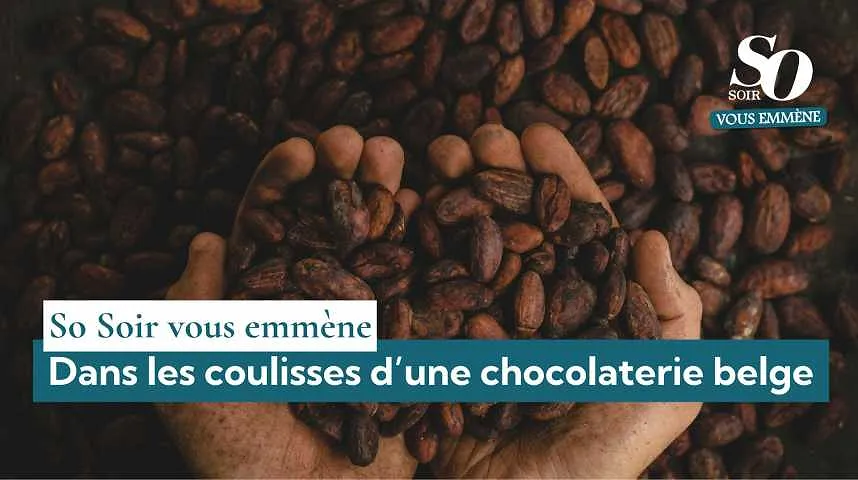 So Soir vous emmène : dans les coulisses d’une chocolaterie belge - So Soir vous emmène : dans les coulisses d’une chocolaterie belge