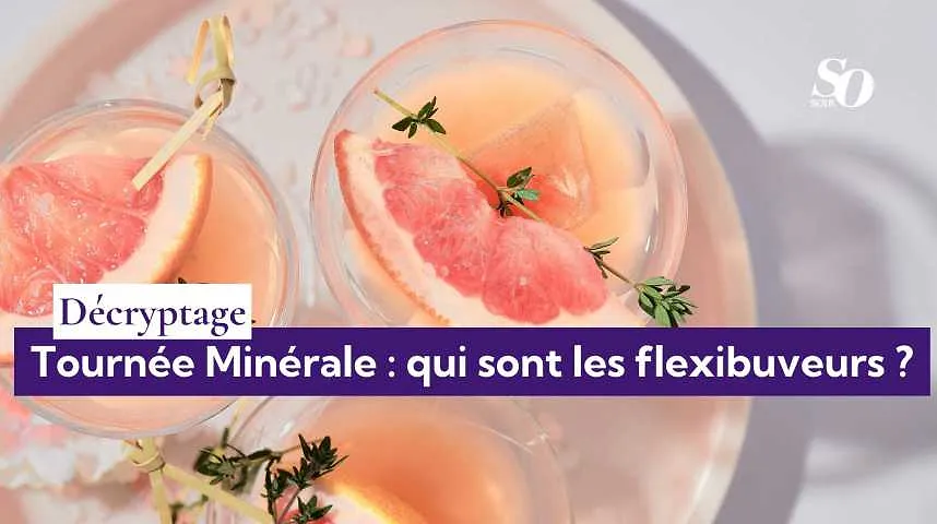 Tournée Minérale : qui sont les flexibuveurs ? - Tournée Minérale : qui sont les flexibuveurs ?