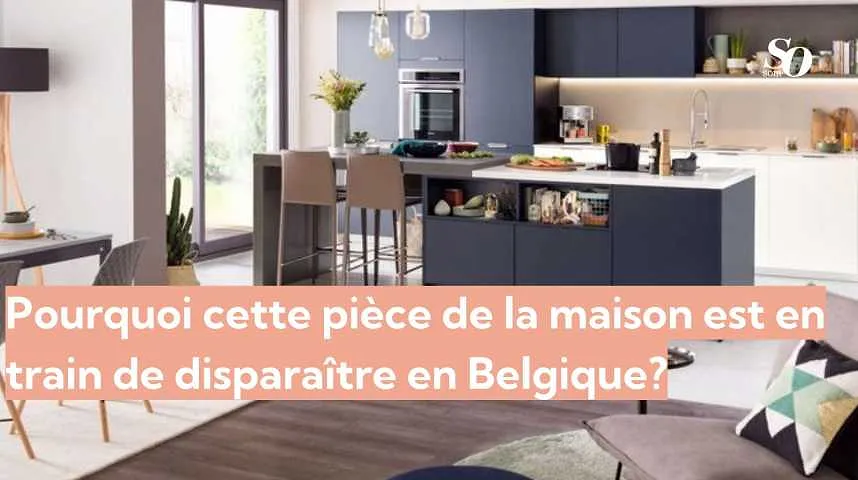 Pourquoi cette pièce de la maison est en train de disparaître en Belgique - Pourquoi cette pièce de la maison est en train de disparaître en Belgique