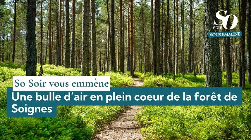 So Soir vous emmène : une bulle d’air en plein coeur de la forêt de Soignes - So Soir vous emmène : une bulle d’air en plein coeur de la forêt de Soignes