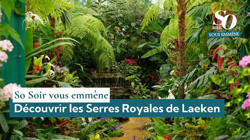 So Soir vous emmène : découvrir les Serres Royales de Laeken - So Soir vous emmène : découvrir les Serres Royales de Laeken