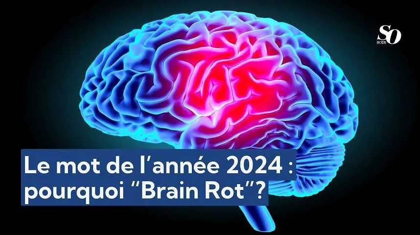 Le mot de l’année 2024 : pourquoi “Brain Rot”? - Le mot de l’année 2024 : pourquoi “Brain Rot”?