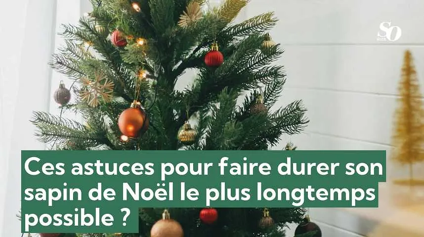 Ces astuces pour faire durer son sapin de Noël le plus longtemps possible ?  - Ces astuces pour faire durer son sapin de Noël le plus longtemps possible ? 