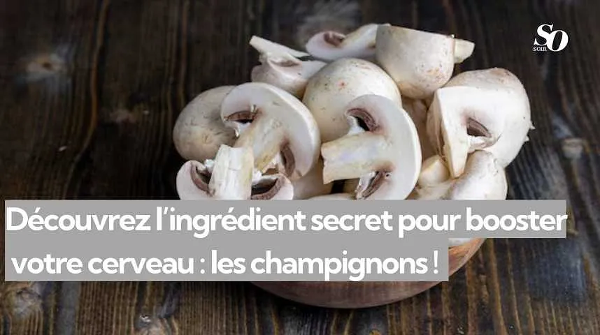 Découvrez l’ingrédient secret pour booster  votre cerveau : les champignons !   - Découvrez l’ingrédient secret pour booster  votre cerveau : les champignons !  